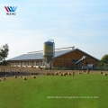 Steel structure poultry chicken house, steel frame cow farm building, chicken poultry house